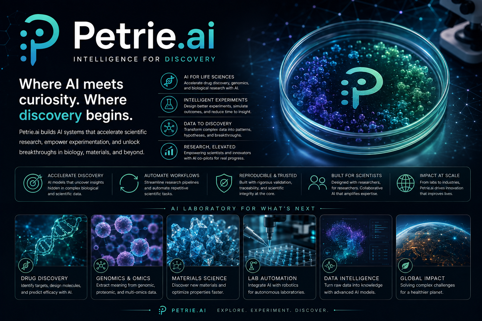 petrie.ai